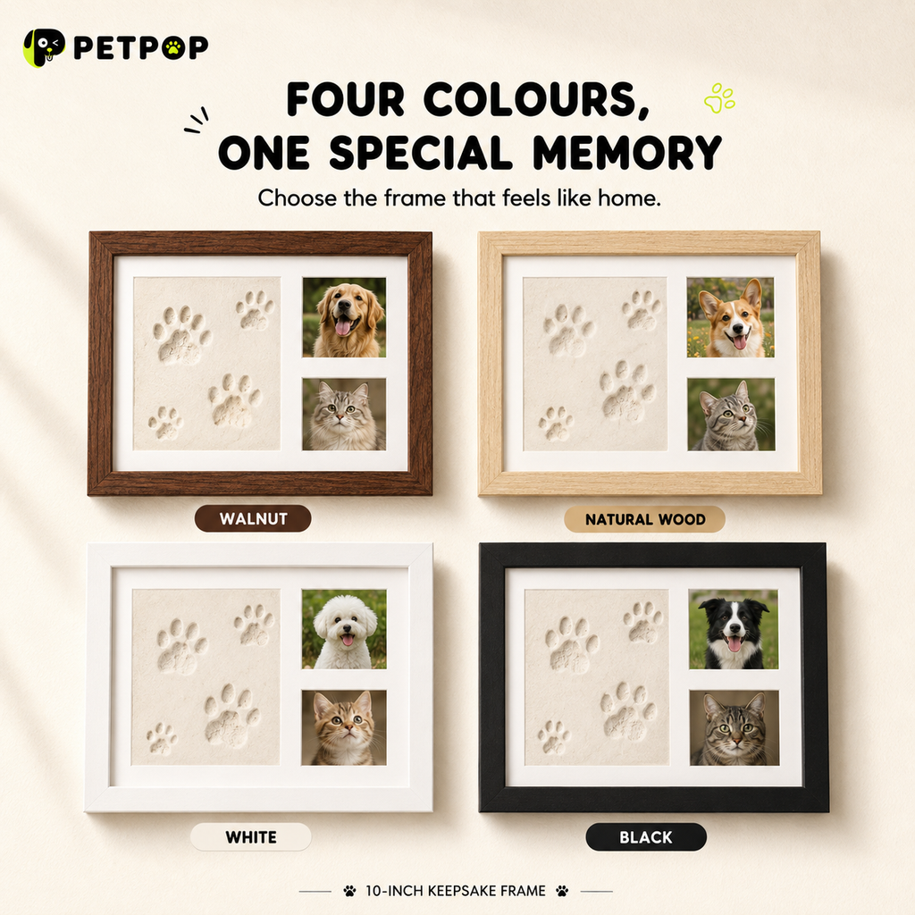 10-Inch Pet Paw Print Keepsake Photo Frame Kit