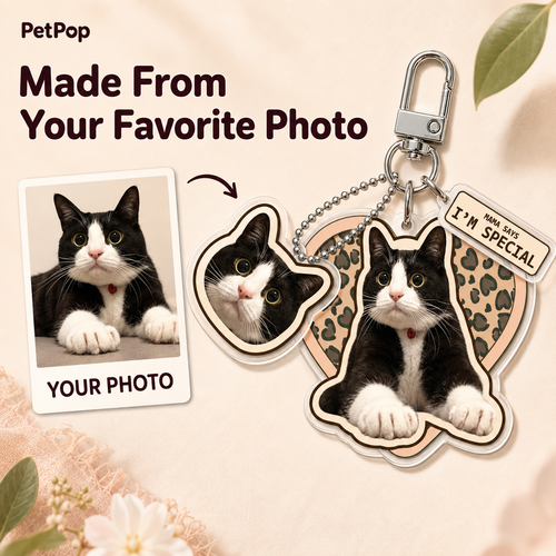 Custom Pet Photo Keychain
